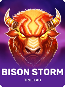 Bizon Storm